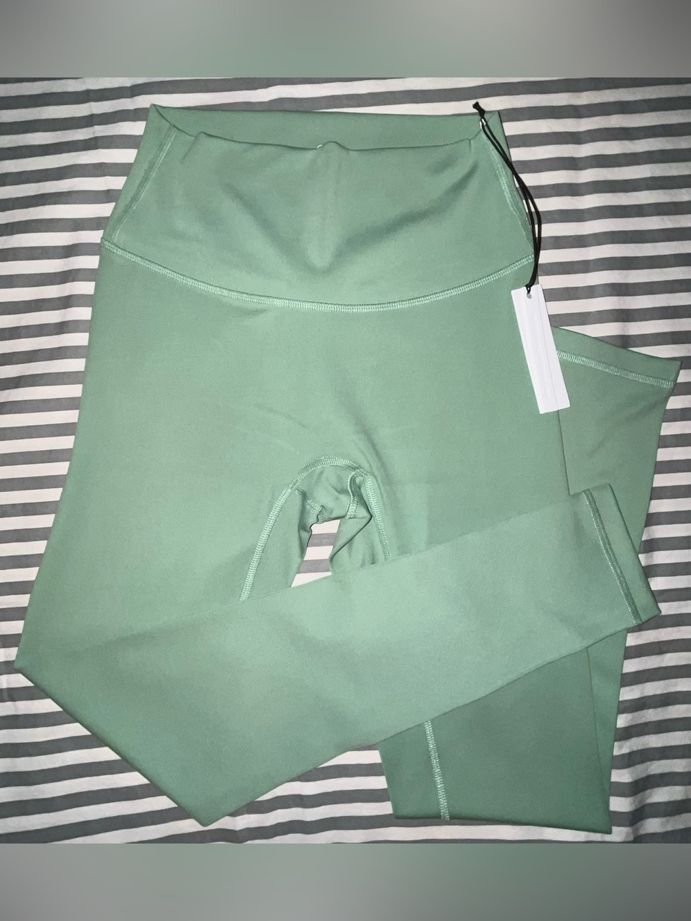 Paragon Fitwear Reluna Original Sculptseam Legging in Matcha Size M